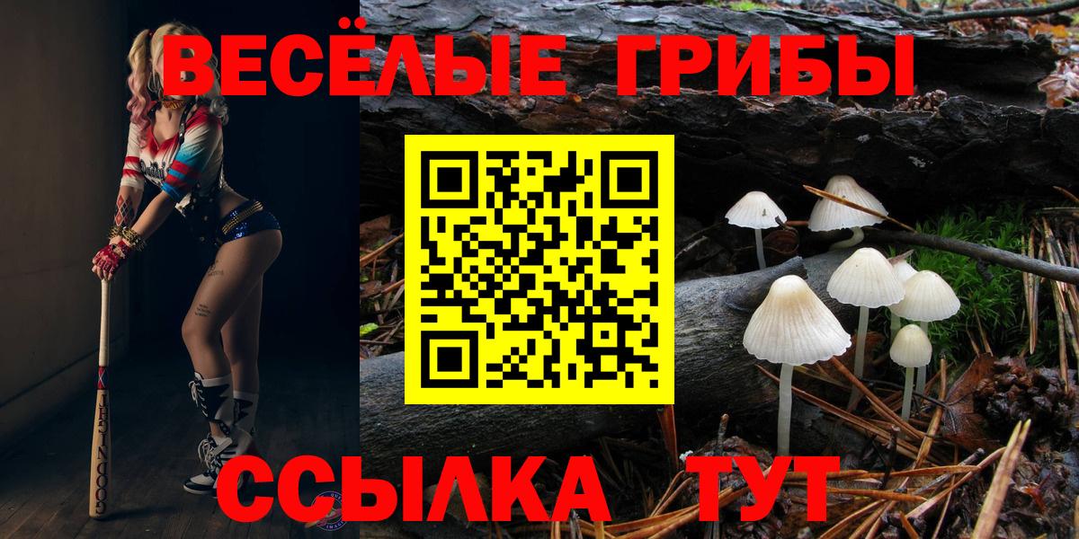 Лабытнанги  Псилоцибиновые грибы GOLDEN TEACHER  Вход с VPN 